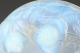 0064136403_1