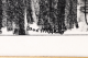 6080-2