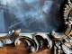 Celestine Blanckaert3 (1)