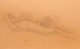 0100011153