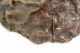 2645-2