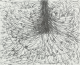 0100020572_1