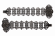 2J1A4229