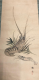 image00019
