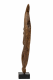 2J1A1465