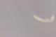 1902478_1