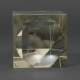 0048339517_2