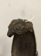 5013 (5)