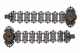 2J1A4231