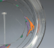 0100024477_1