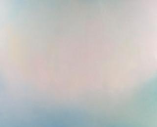 49471462