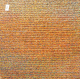 0100000529