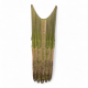 image00001