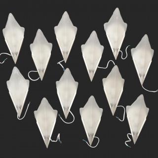 28293889