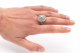 2J1A7817