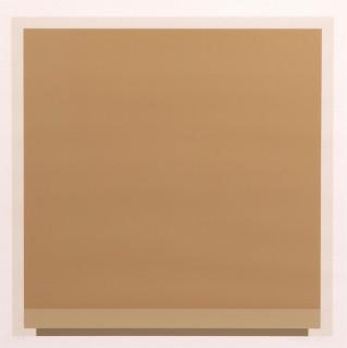 58855695