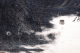 2J1A0164