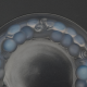 0052324717_1