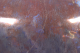 0099999850_5