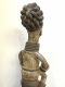 image00013