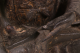 1902502_10