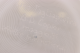 1902478_4