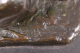 1902484_3